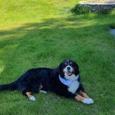 Campingplatz Goats Path Farm And Pod Park *