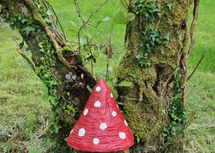 Goats Path Farm And Pod Park Campsite Bantry