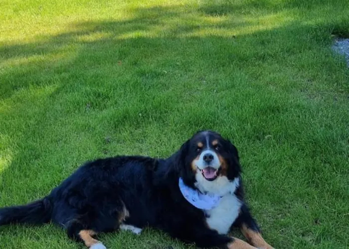 Campsite Goats Path Farm And Pod Park *