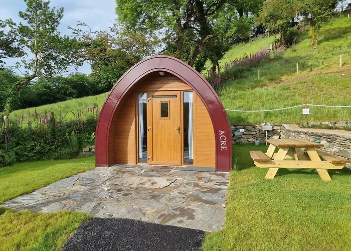 キャンプ場 Goats Path Farm And Pod Park バントリー